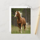 Search for mane postcards Ai generated