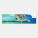 Search for turtle bumper stickers Reptile