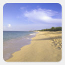 Search for paradise bay stickers Caribbean