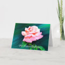 Search for tea rose cards Floral