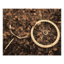 Search for handlebars posters Cycling