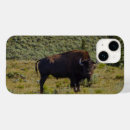 Search for you look electronics Wildlife