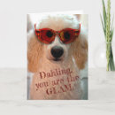 Search for wearing sunglasses cards Cute