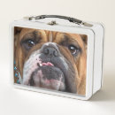 Search for bulldog lunch boxes Dog lover