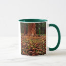 Search for pine cone mugs Branch