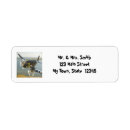 Search for fighter return address labels Aeroplane