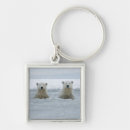 Search for refuges key rings Alaska