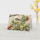Search for bird lovers cards Colourful