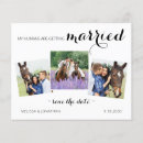 Search for horse horizontal 4x5 invitations Equestrian