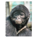 Search for cute monkey notebooks Animals