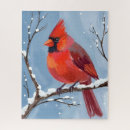Search for red cardinal bird puzzles Watercolor