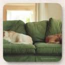 Search for emotion coasters Horizontal