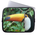 Search for billed cases Toucan
