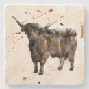 Search for highland cow coasters Cattle