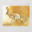 Search for hare postcards Running