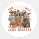 Search for wieners stickers Funny