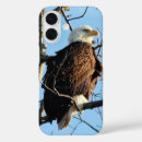 Search for bald eagles iphone cases Nature