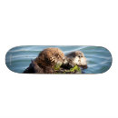 Search for mothers skateboards Cute