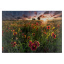 Search for sunflower chopping boards Nature