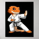 Search for self defence posters Bjj