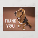 Search for bassetts cards Puppy