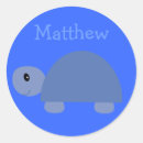 Search for sky turtle Cute
