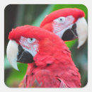 Search for macaw parrot stickers Nature