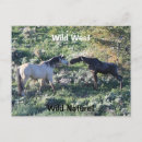 Search for cute moose postcards Animal