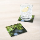 Search for needle coasters Nature
