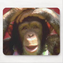 Search for chimp mousepads Monkey