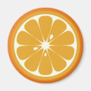 Search for novelty magnets Food