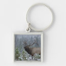Search for bull elk accessories Snow