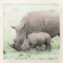 Search for african safari coasters Animal