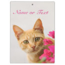 Search for cat clipboards Animal