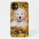 Search for mixed breed dog iphone cases Pet