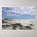 Search for playa posters Tropical