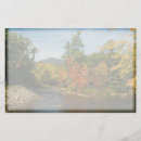 Search for swift Scenic