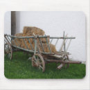 Search for hay electronics Grass