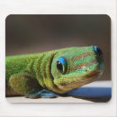 Search for with blue eye mousepads Green