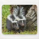 Search for skunk mousepads Mammal