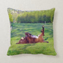 Search for donkey cushions Animal