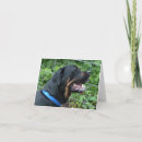 Search for rotweilers Pets