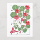 Search for 1896 postcards Flowers