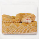 Search for rattlesnakes mousepads Animals