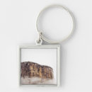 Search for remote key rings Nobody