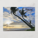 Search for sunset palm postcards Scenic