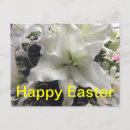 Search for twenty eight cards Happy