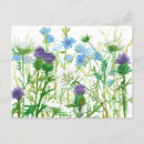 Search for chicory Herbs