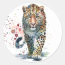 Search for leopard stickers Big cat