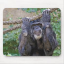 Search for chimpanzees mousepads Wildlife